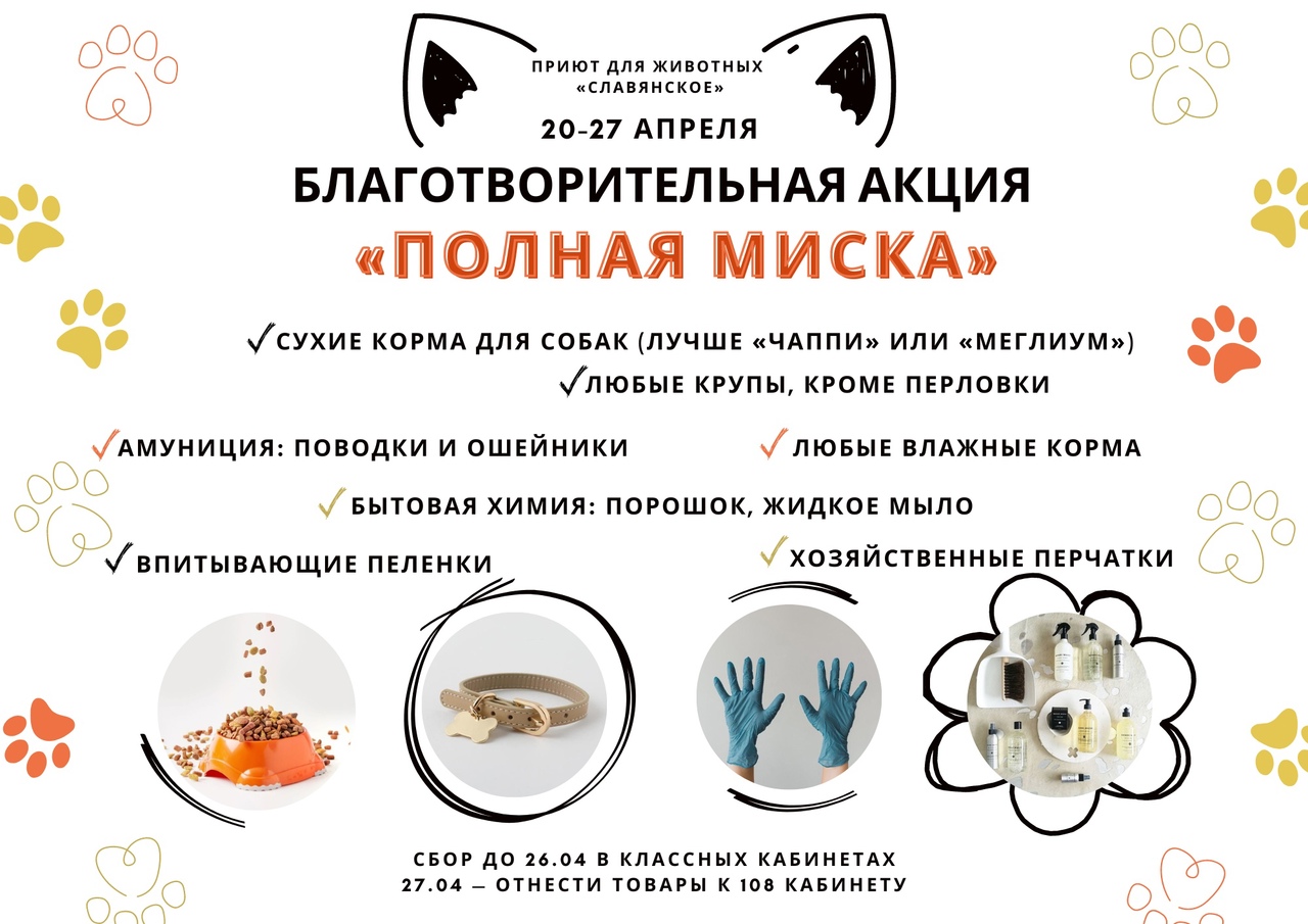 Благотворительная акция &amp;quot;Полная миска&amp;quot;.